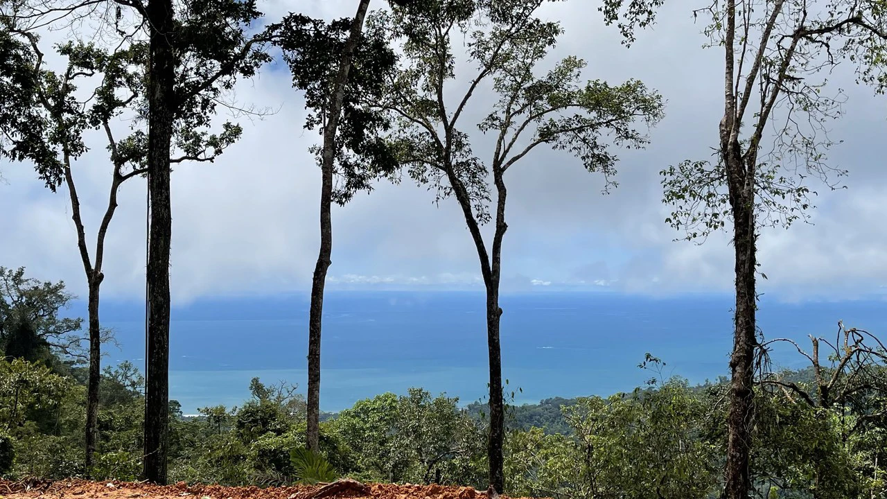 Los Nenes: Mountain Home Construction Site For Sale in Uvita - Gallery image 9