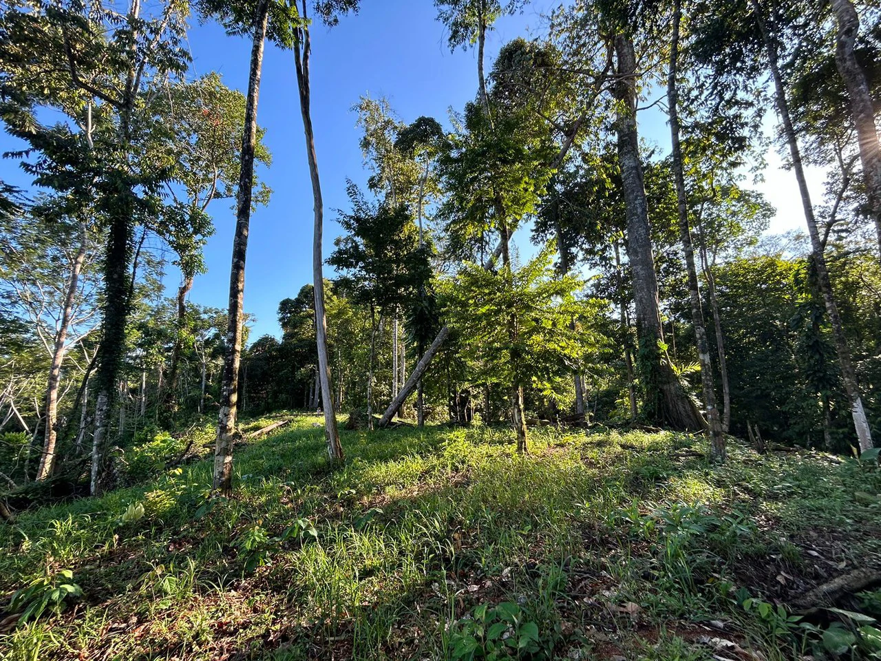 Marvelous Ocean View Parcel in Uvita. - Gallery image 24