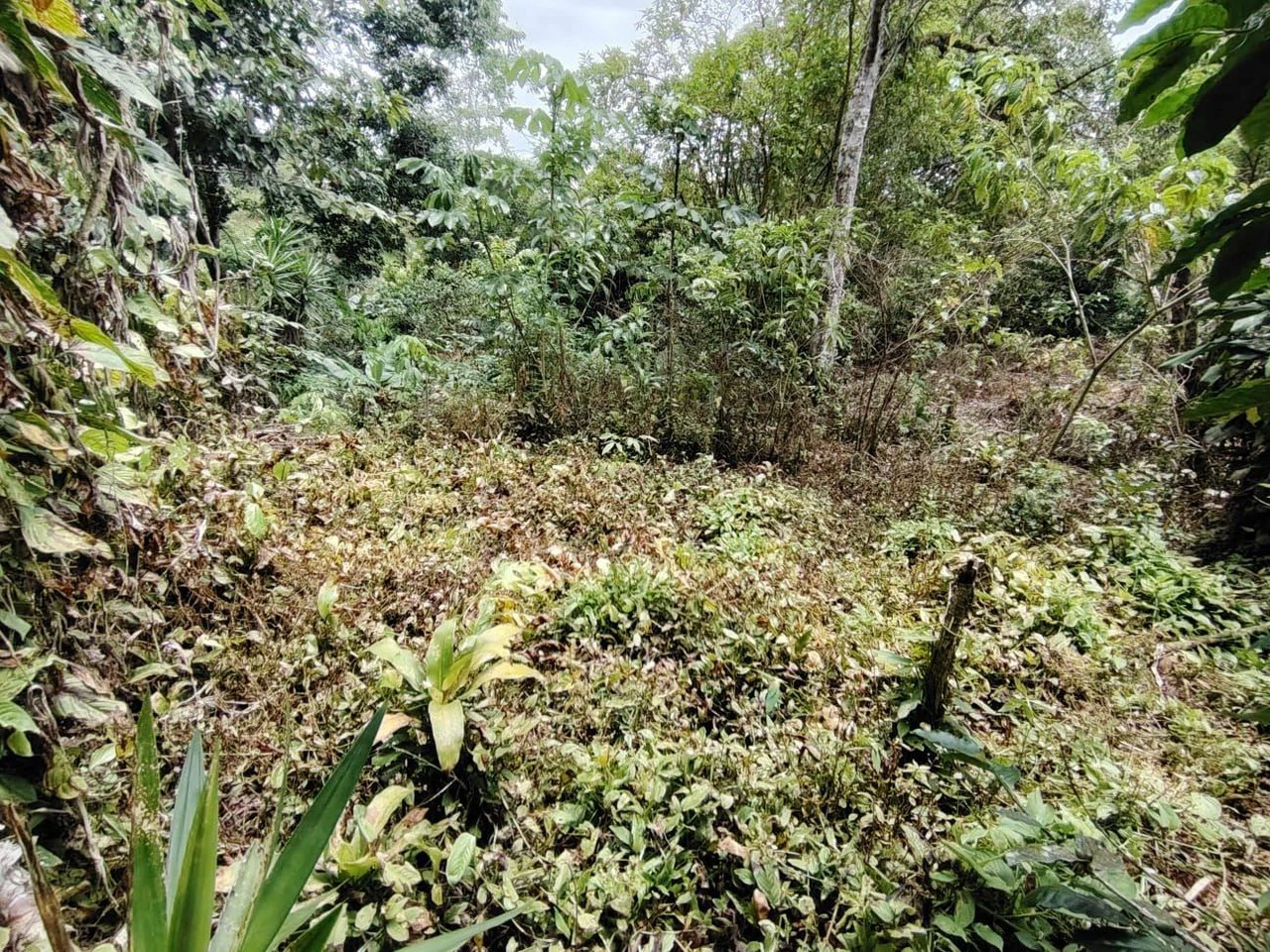 Home Construction Site For Sale in General Viejo - Gallery image 4
