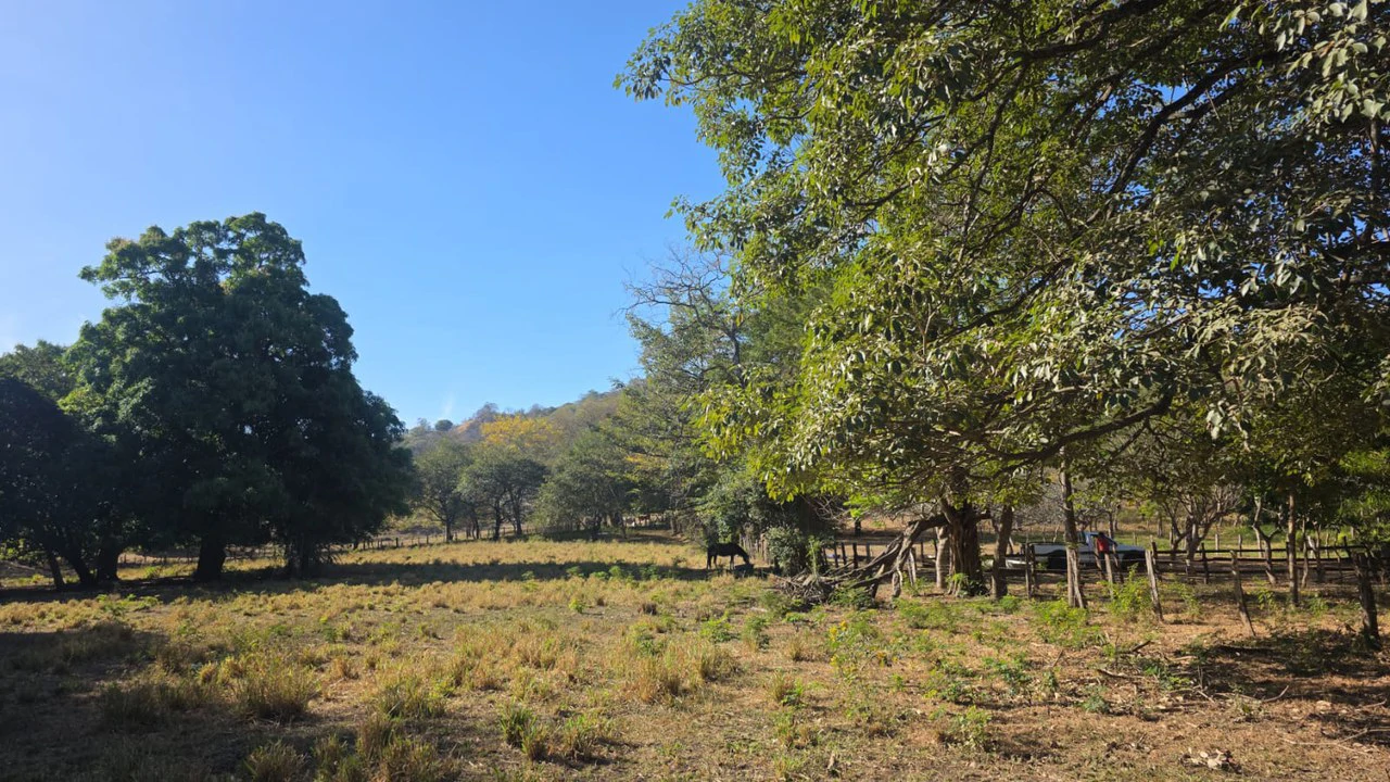 3 Commercial lots for sale in Artola with 70 m of public road frontage - Gallery image 9
