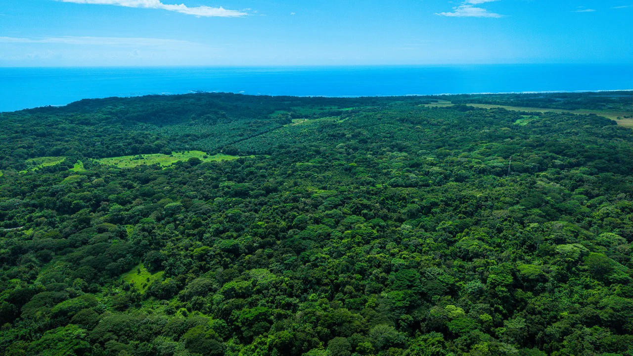 4,850 Acre Beachfront Legacy Ranch Esterillos Central Pacific Coast - Gallery image 25