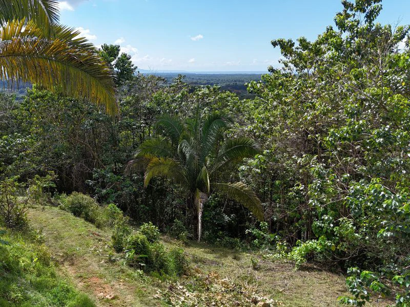 Gorgeous Ocean View Acreage in San Buenas - Gallery image 4