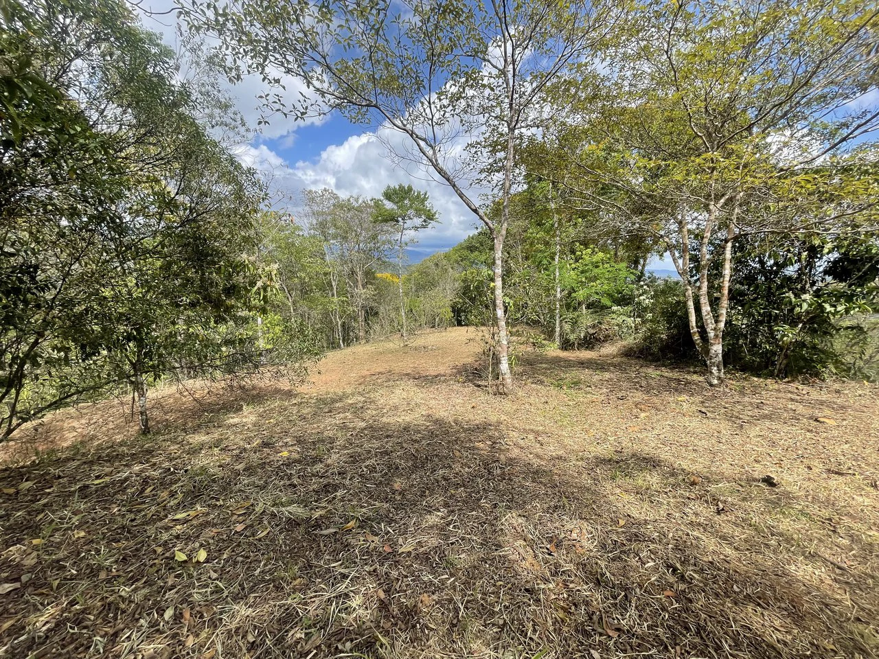 Elevated Two and a Half Acres with Cool Breeze in San Isidro del General - Gallery image 16