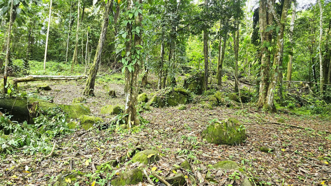 Near the Coast Home Construction Site For Sale in Uvita - photo 8