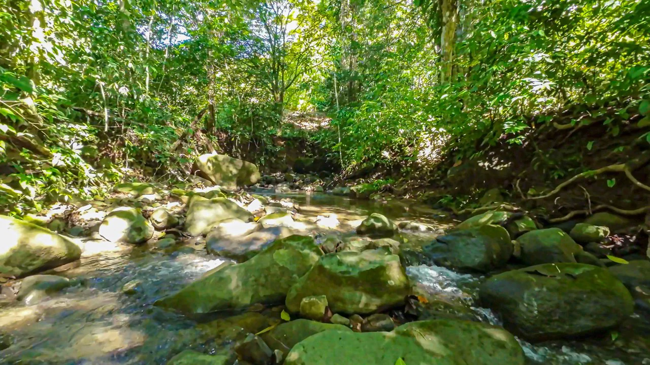 Development Parcel Central Uvita with River! - Gallery image 11