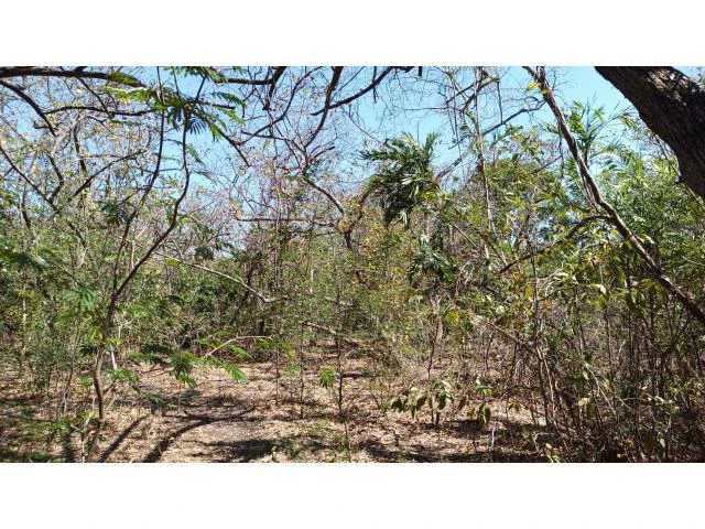 3 Flat topography properties for sale near Playas del Coco, Great building potential in the province of Guanacaste - Gallery image 13