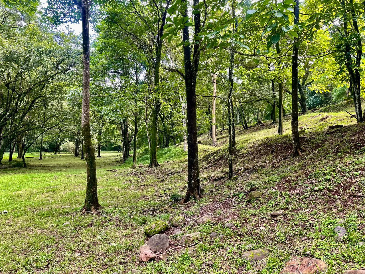Property for Sale for Tourism Development with River in Orotina Alajuela Costa Rica - Gallery image 13