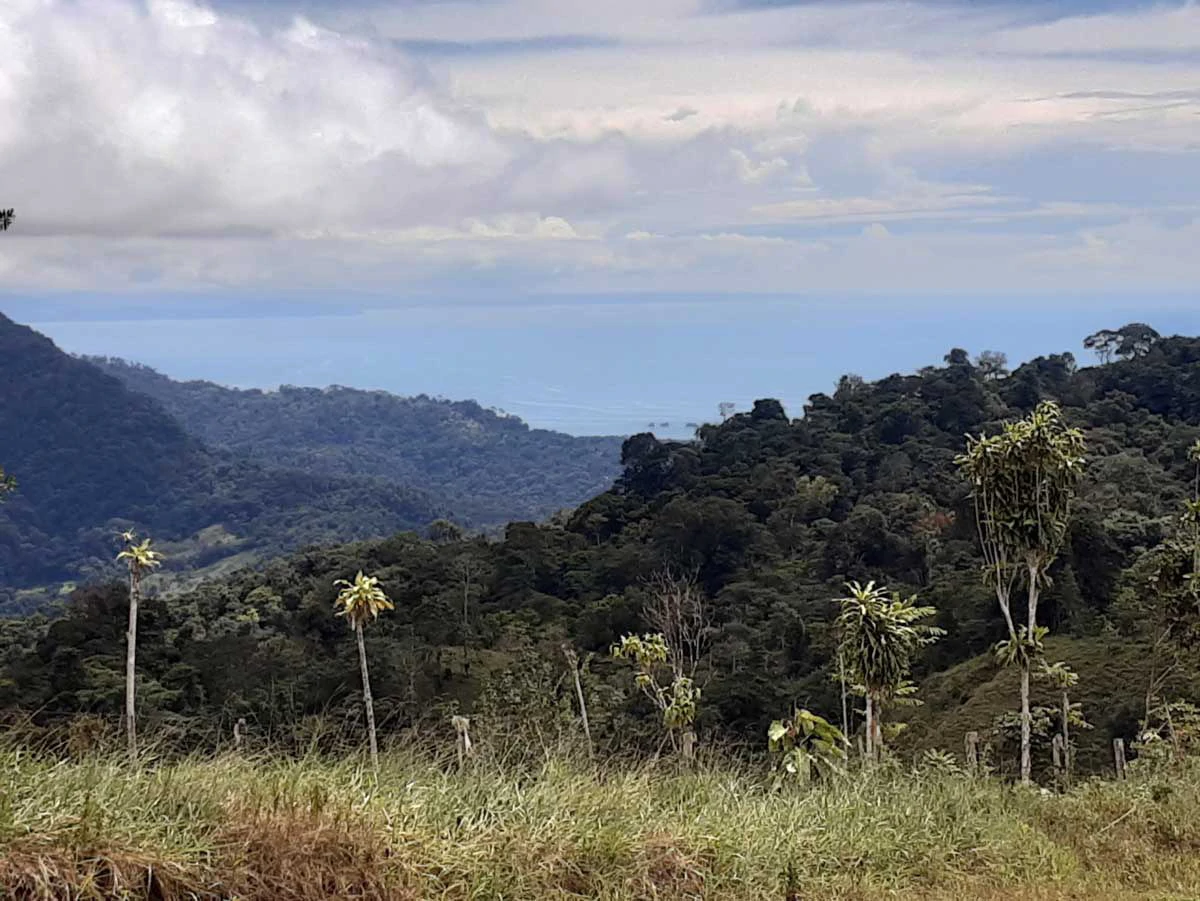 Finca Tesoro Escondido - The Jewel of Uvita