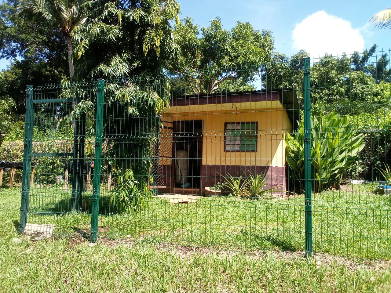 Sarchi City Compound: Spacious Private Finca near the City! - Gallery image 19