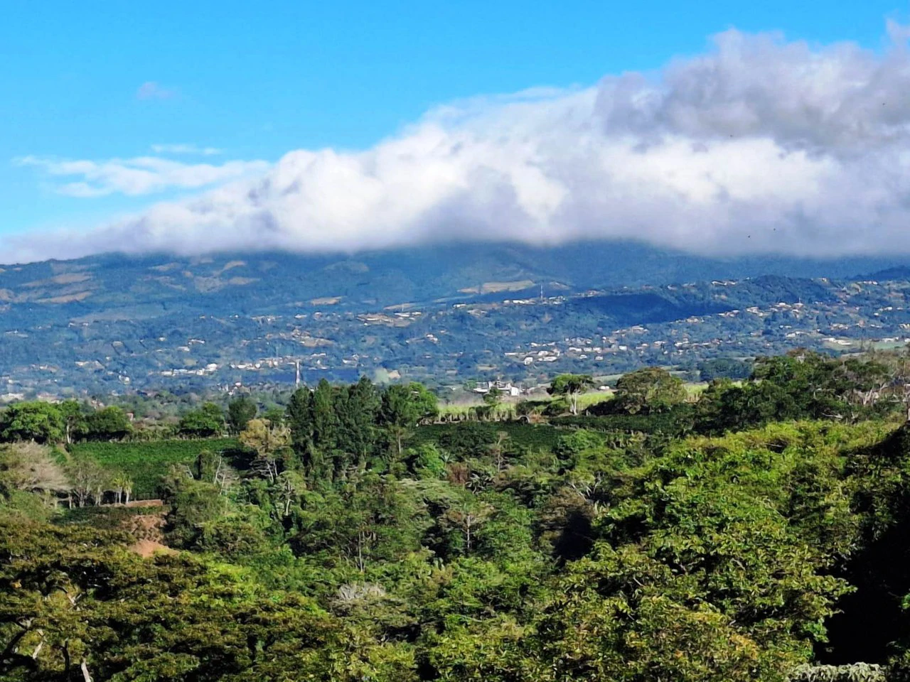 Panoramic Peaceful Escape...: 6,110 m2 with Unobstructed City Views! - Gallery image 2