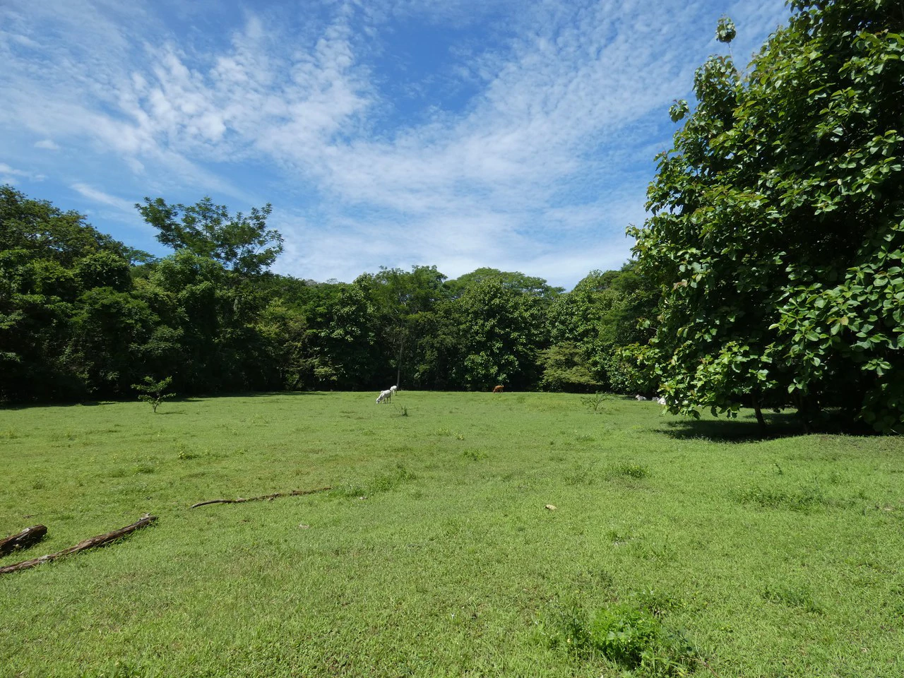 Samara beach property project with own natural reserve and ocean views - Gallery image 16
