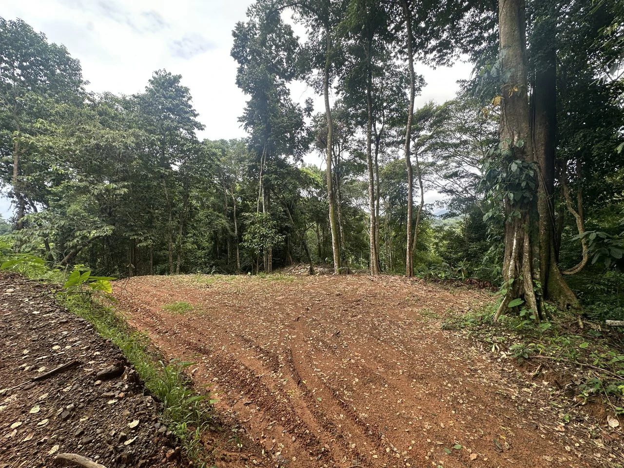 Ocean View Lot in Paradise Breezes, Hatillo - Ready to build - Gallery image 14