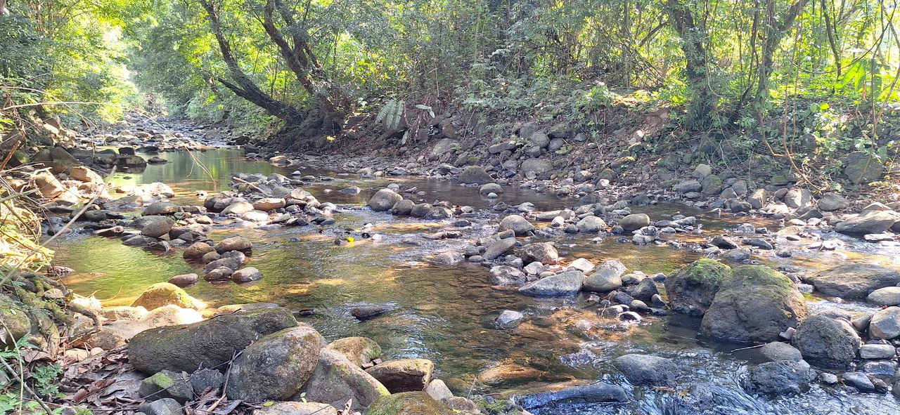 Exceptional Development Opportunity 71 acre Riverfront & Ocean View in Hatillo - Gallery image 2