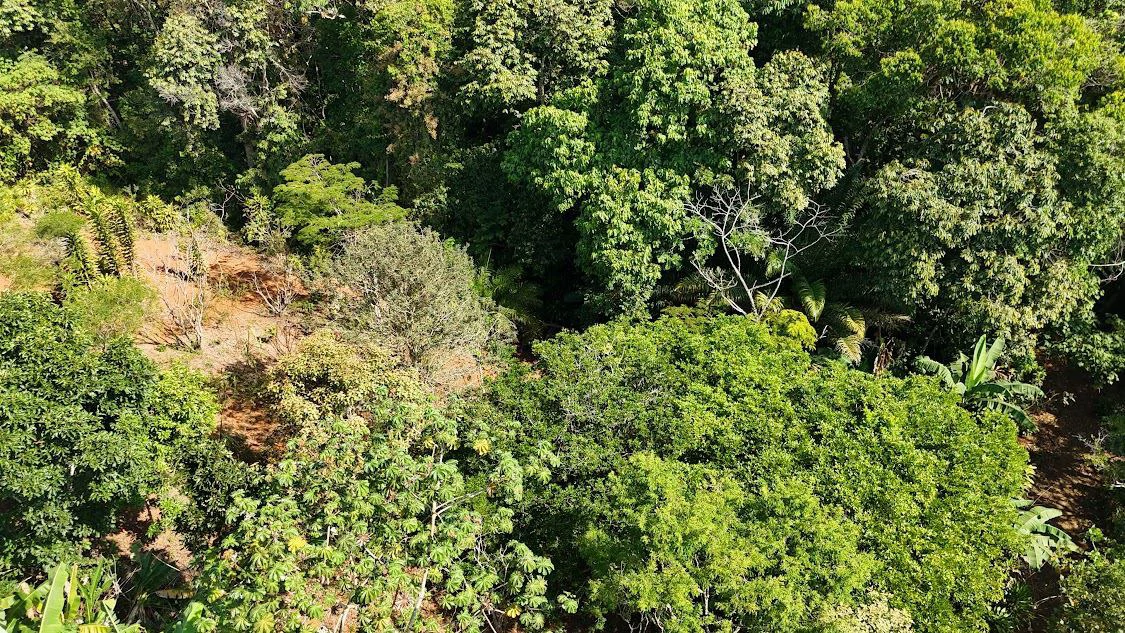 Home Construction Site For Sale in La Ceniza - Gallery image 17