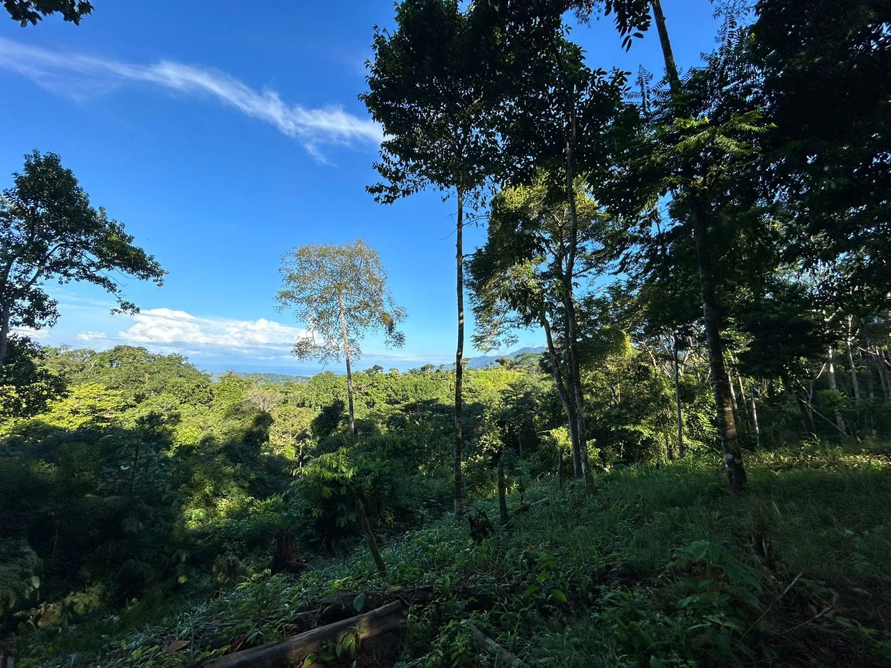 Marvelous Ocean View Parcel in Uvita. - Gallery image 22