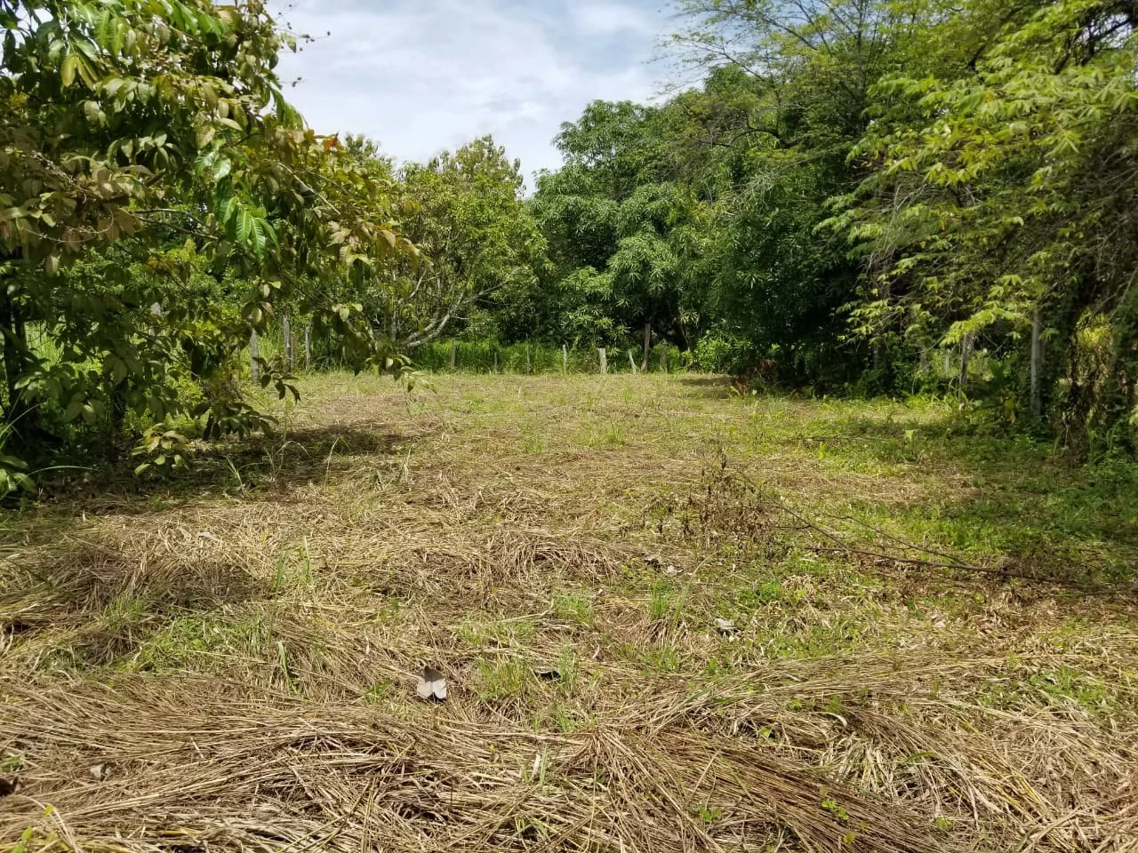 Amazing lot located near Paquera downtown. Now Available! - Gallery image 2