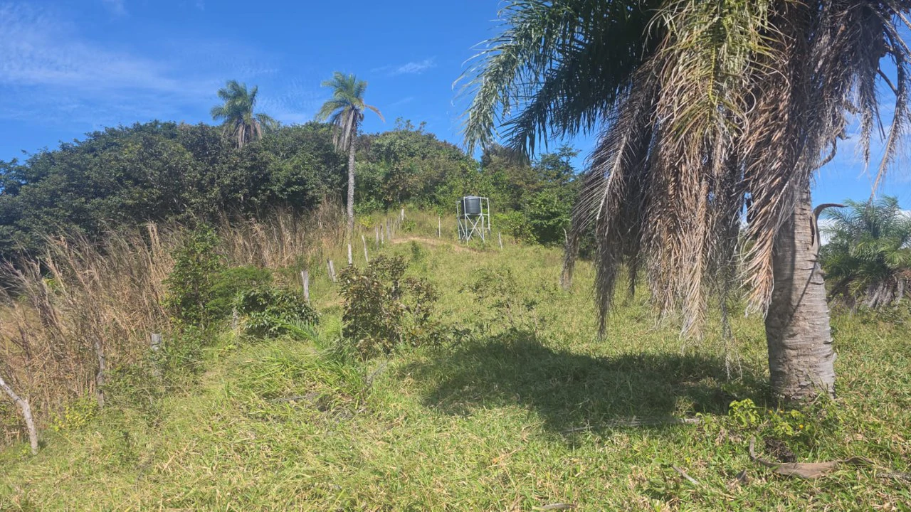 Mountain Property for Sale with charming 360º views of Guayabos Valley and the Volcanoes - Gallery image 42