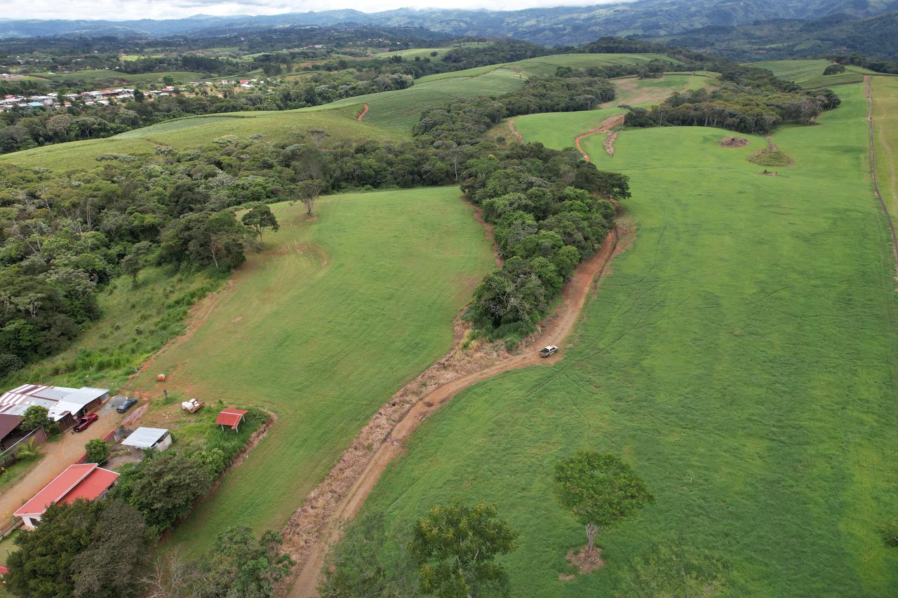 Agricultural Land For Sale in Entre Cocorí y Pavones - Gallery image 2