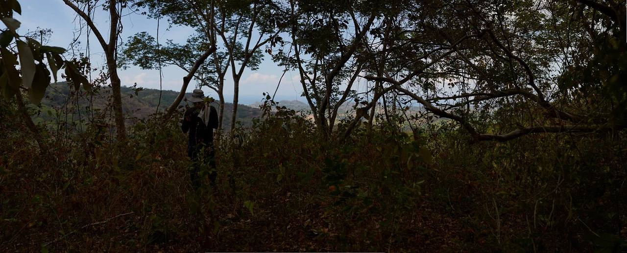 Finca Gomez: 214 Hectares | Ocean Views, Rivers & Development Potential – Guanacaste - Gallery image 18