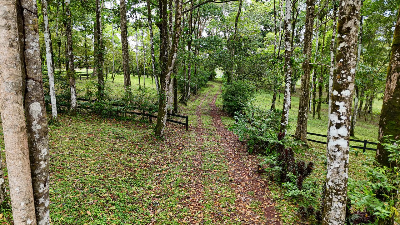 Finca Macadamia: 154-acre Rainforest Paradise with two Houses and Trails! - Gallery image 4