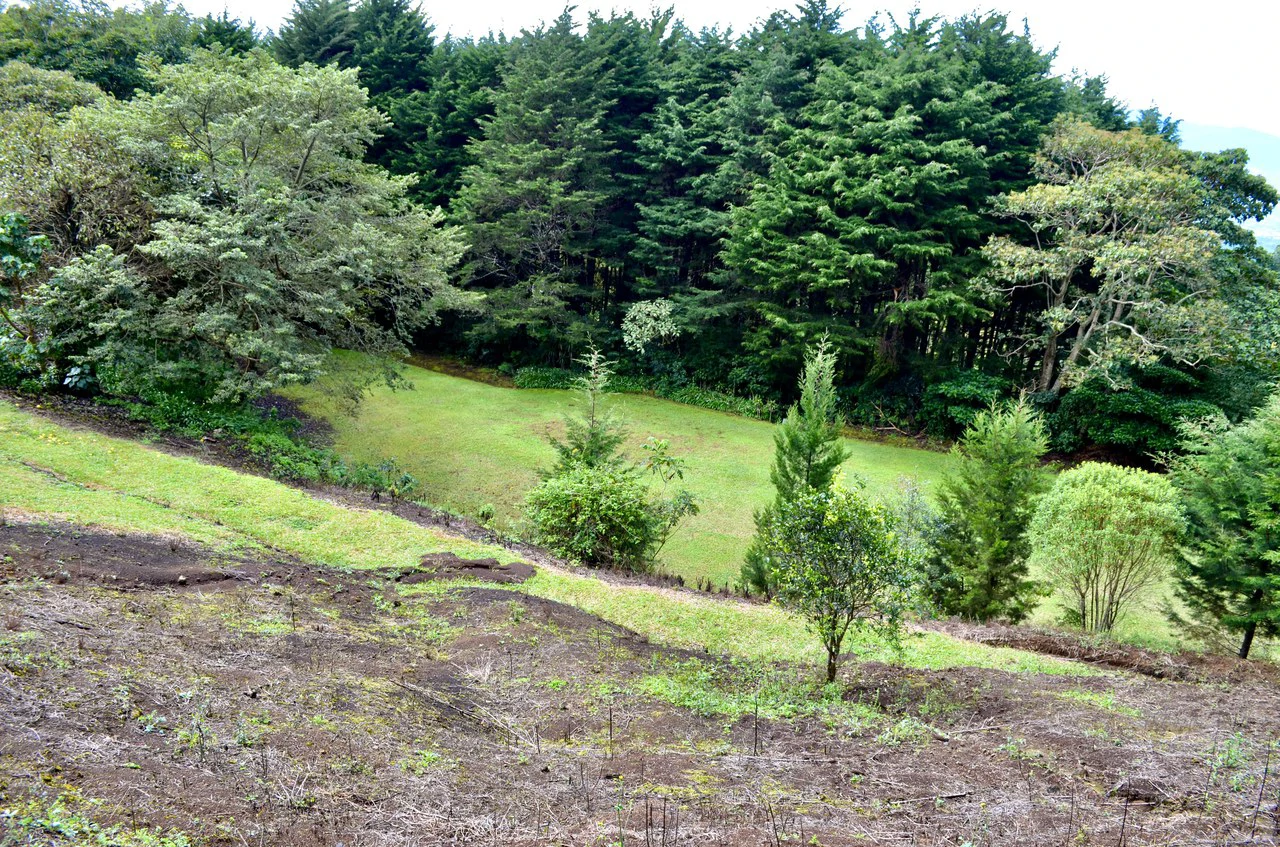 Farm for sale in Santa Barbara de Heredia - Gallery image 29