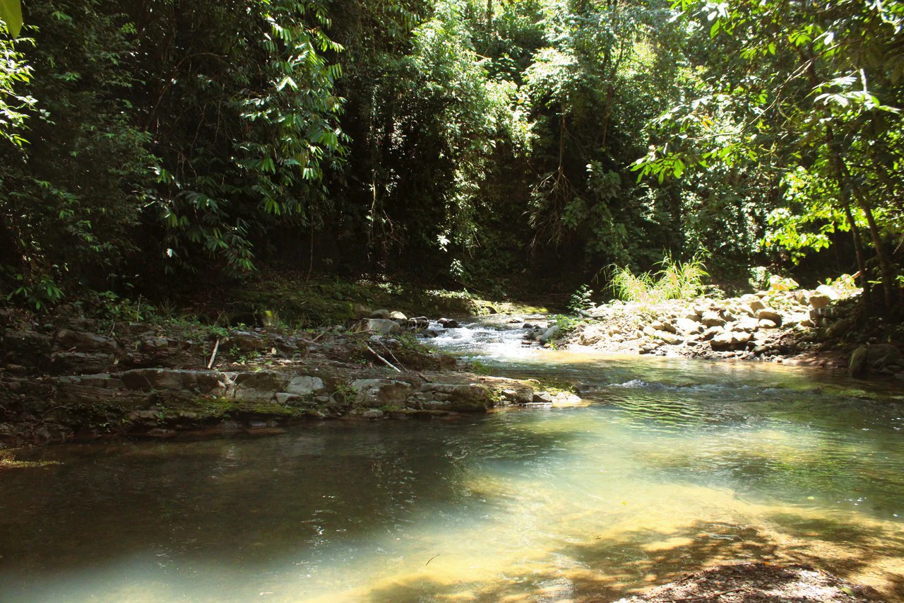Wildlife Reserve Farm close to Ojochal - photo 19