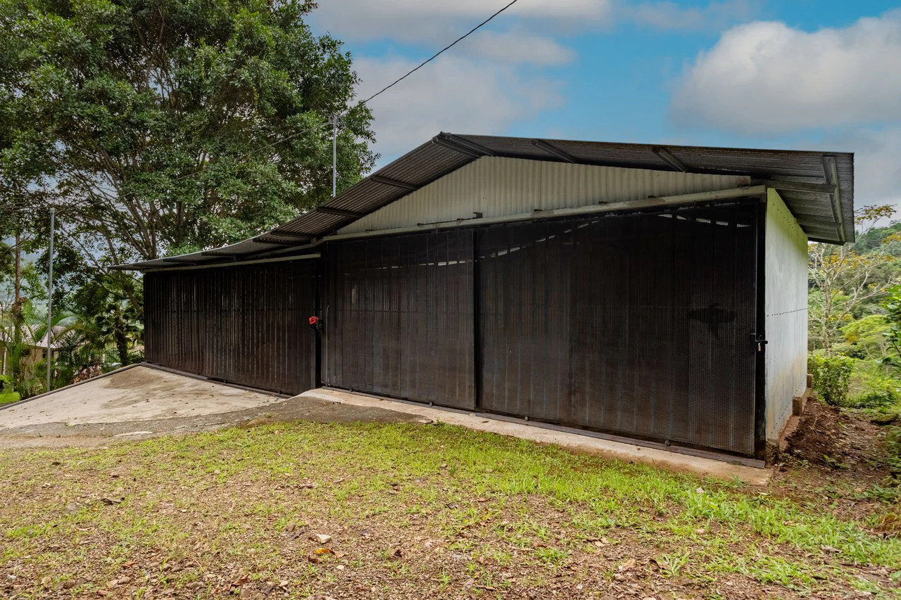 Expansive 27 Acre Farm with Residence in San Isidro del General - Gallery image 53