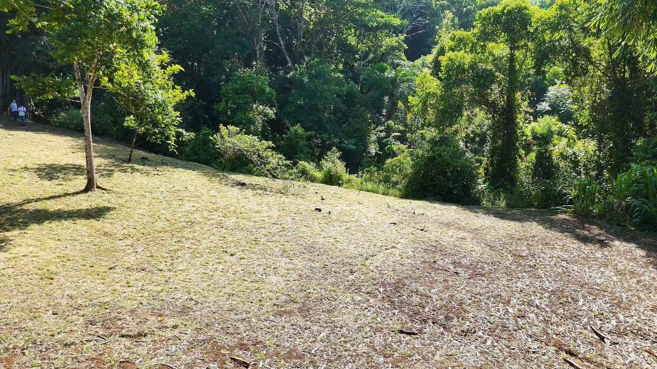FINCA EN BARÚ GUSTAVO-149760: Mountain Agricultural Land For Sale in Barú - Gallery image 9