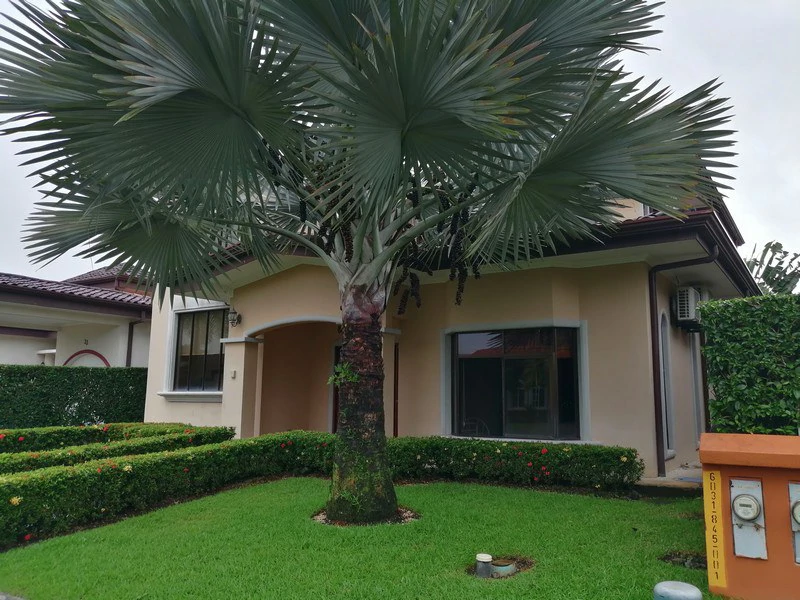 Incredible Casa Rimon, Huge 2 Story Home with Pool in Bejuco: Walk to the Beach from a rare 4 bedroom home! - Gallery image 6