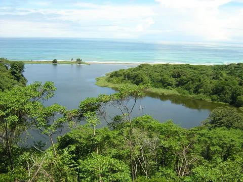Osa Peninsula, Carate Beach: Incredible Ocean View above the Pacific - Gallery image 18