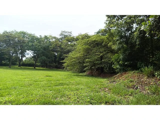 Charming Tico Home with Beautiful Green Garden for Sale in Bagaces - Gallery image 11