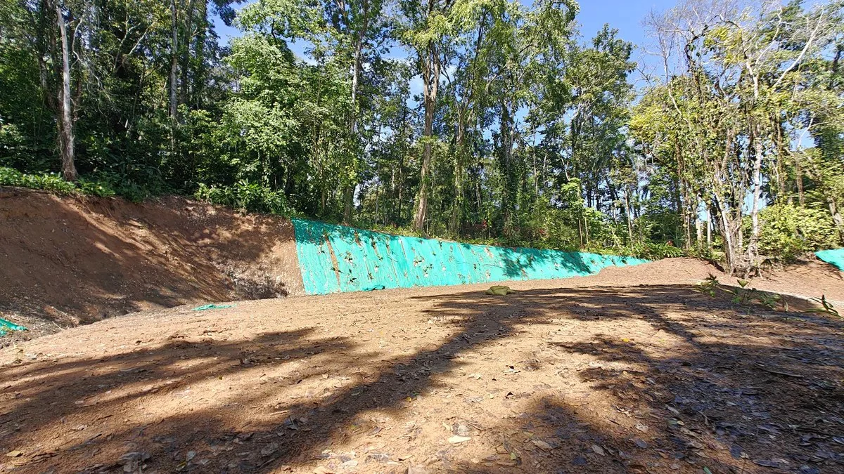 ID  1011: 7535m² Cahuita Land Near the Beach with Building Platform - Gallery image 3