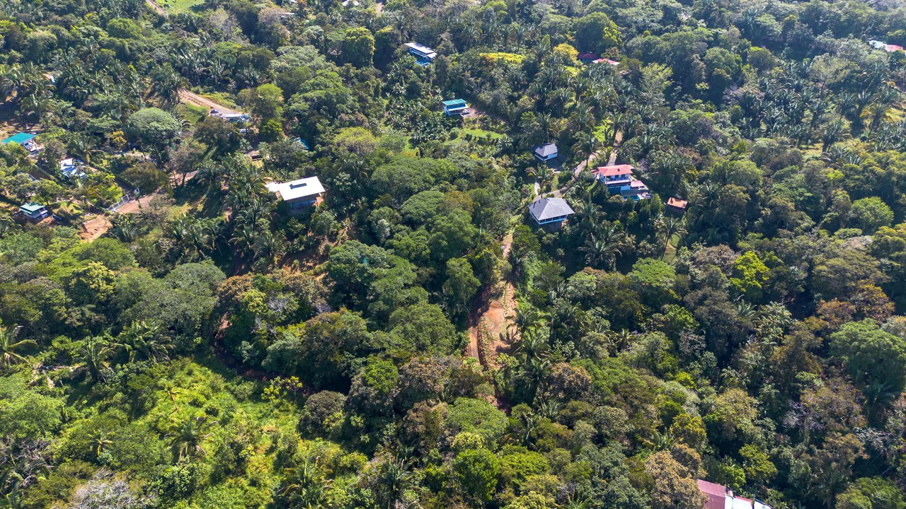 Surfers Paradise! Two Usable Lots for Building in Playa Hermosa Near Uvita!!: Mountain Home Construction Site For Sale in Playa Hermosa - Gallery image 8