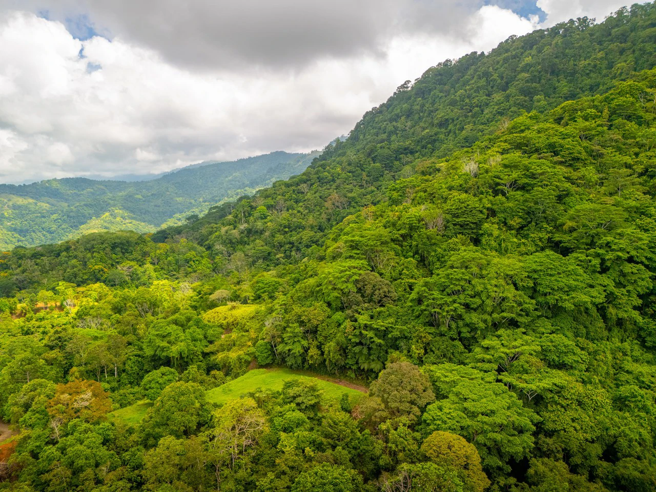 Tropical Paradise in Cascada Sándalo, Tres Ríos Ocean & Mountain Views | Gated Community | Abundant Nature - Gallery image 7