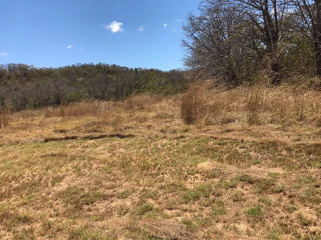 Huge terrain for sale in Guardia close to the International Airport of Liberia - Gallery image 30