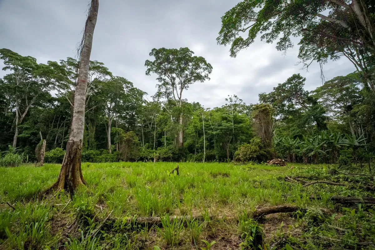 ID 1134: 3960m² Flat Development Lot Near Cahuita, Costa Rica - photo 17