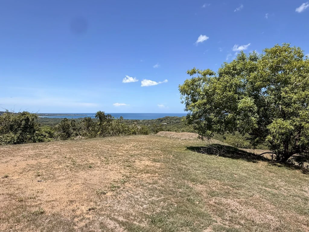 Lot #71: 2,250m2 San Pedro. Las Ventanas Community - photo 17