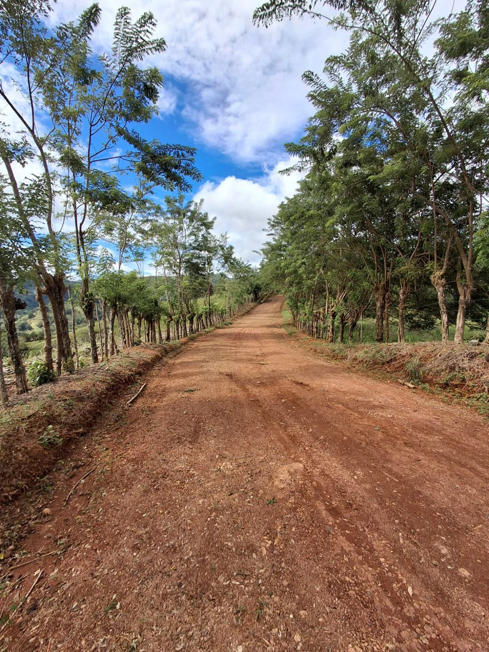 Hilltop Ocean Paradise: 10 ha (103,600m2) for private compound or development - Gallery image 2