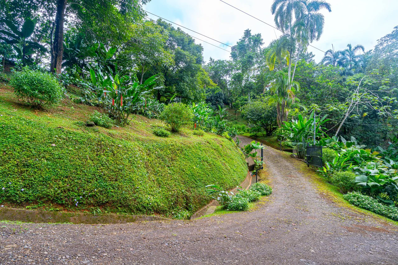 Cascada Sandalo Jaw Dropping Ocean Views!: Mountain House For Sale in Tres Rios - Gallery image 29