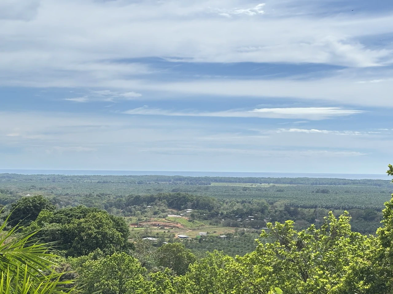 Breathtaking Ocean-View Estate: Over 1 Hectare of Serenity and Sunset Magic - Gallery image 14