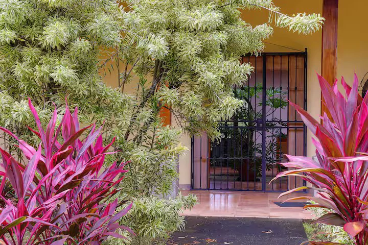Amazing Casa Lago in Monterrey!: Private Lake and Close to Beaches! - Gallery image 19