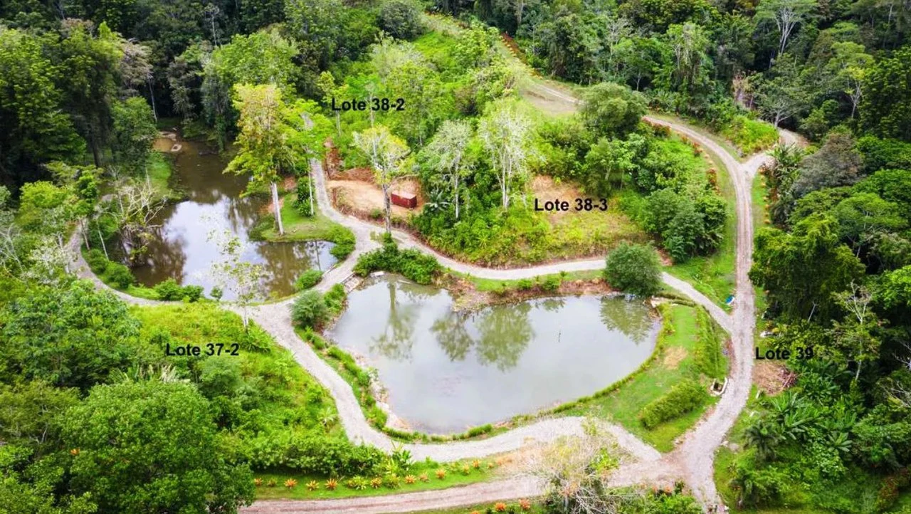 ID 4203: Land in Gated Community, Owner Financing available - Gallery image 9