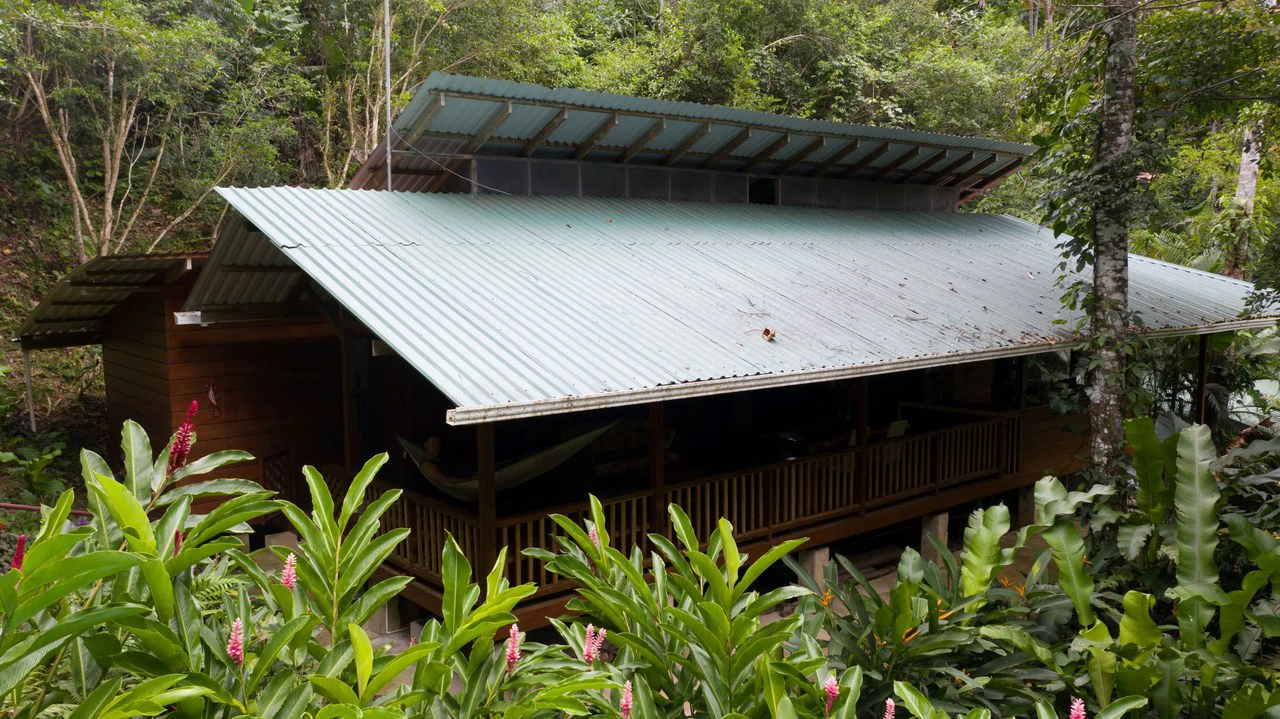 4 Bd/3 Ba - Two Caribbean Homes w/ Pool, on 5000m²: Dual Home Jungle Property in Punta Uva - Gallery image 16