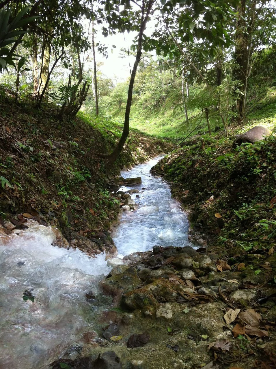 Cold & Hot springs surrounded by an overgrown farm, taken back by nature - Gallery image 82