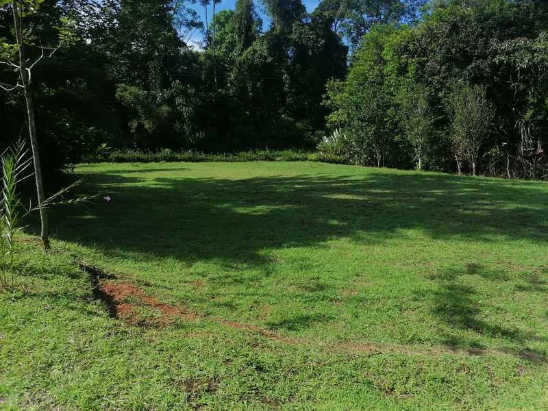 69.16 Acres Property | Mountain & Top Ocean View with Small Home - Gallery image 34