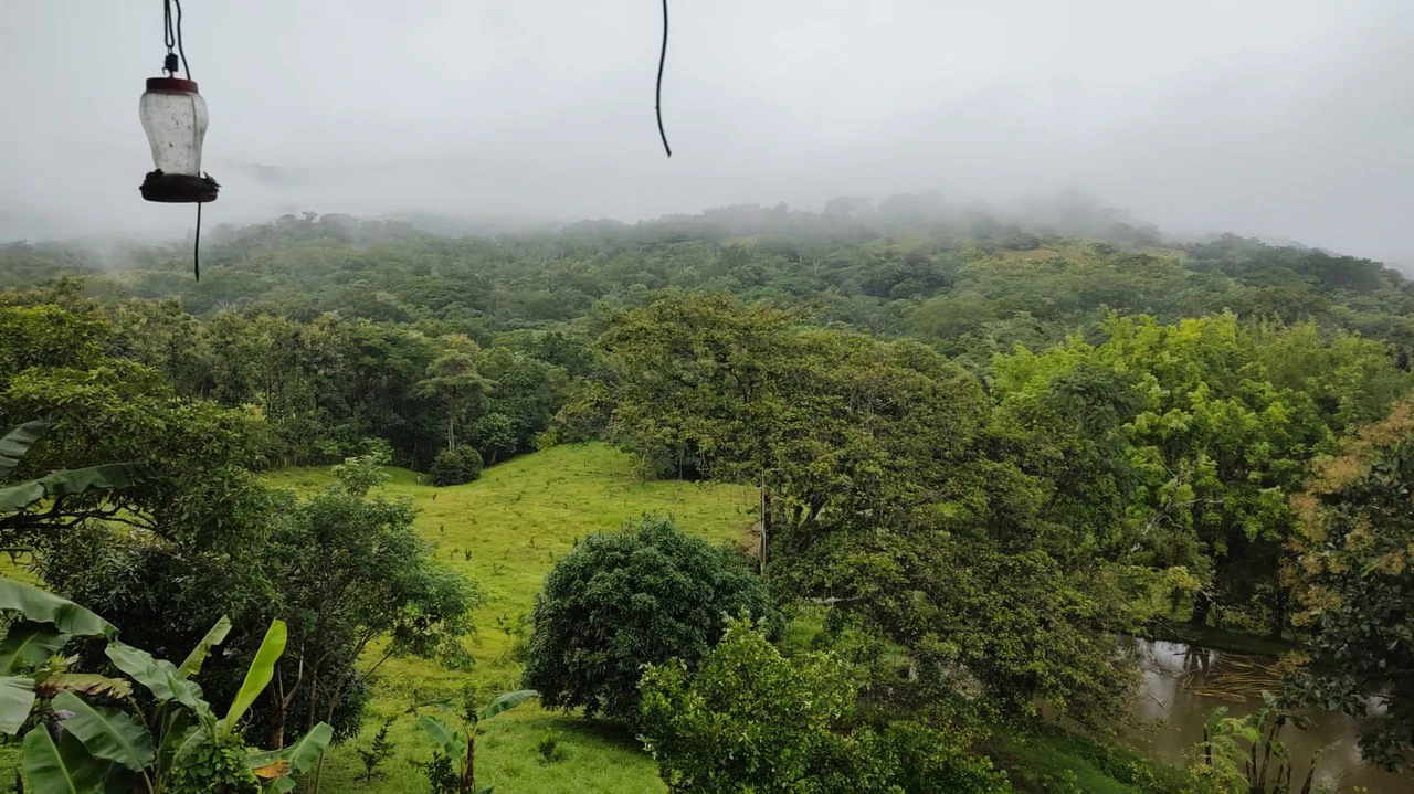 Agricultural Farm for Sale in the mountains of Hojancha, Beautiful 25-acre property with floating lake Apartment and Huge main home - Gallery image 25
