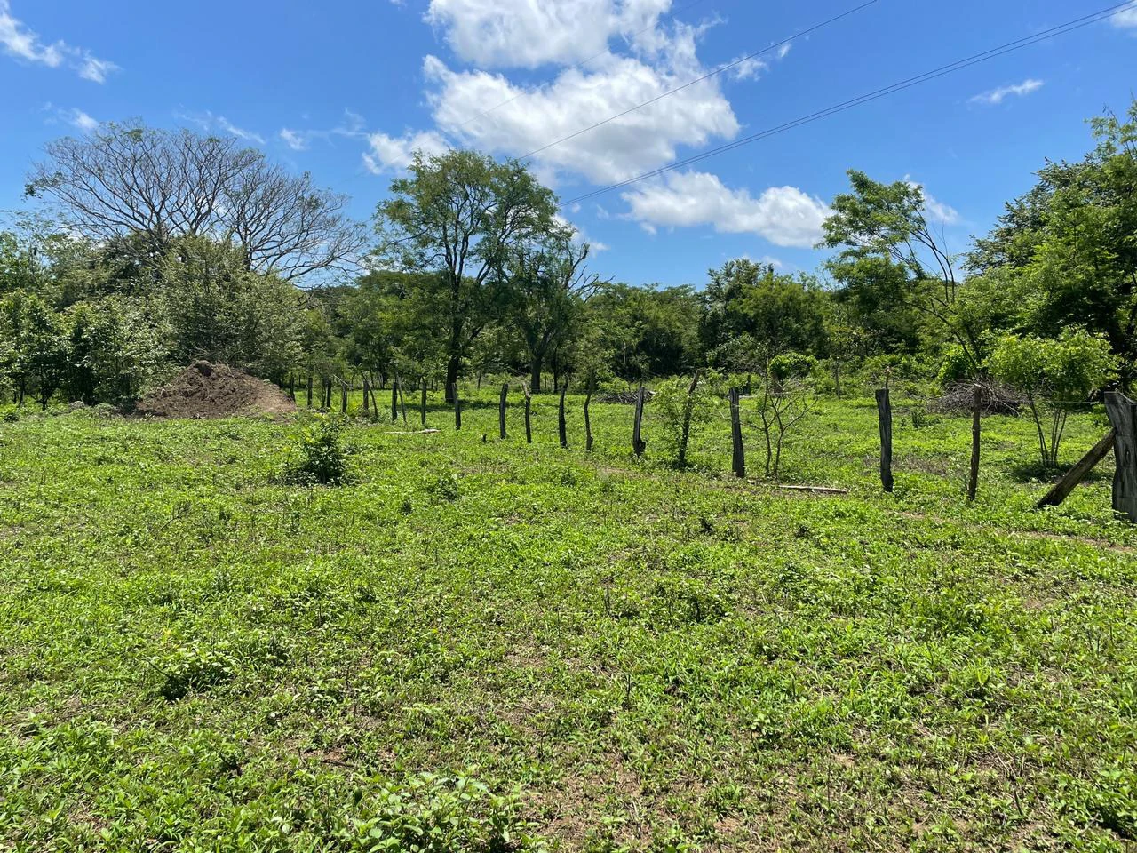 Building lots for sale, 6 available properties 10 minutes away from Liberia - Gallery image 4
