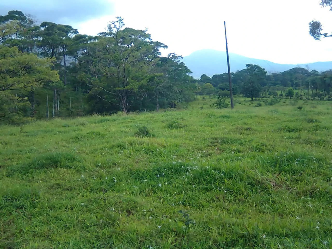 Cattle farm for sale in Aguas Claras with 1 corral and enchanting views - Gallery image 8