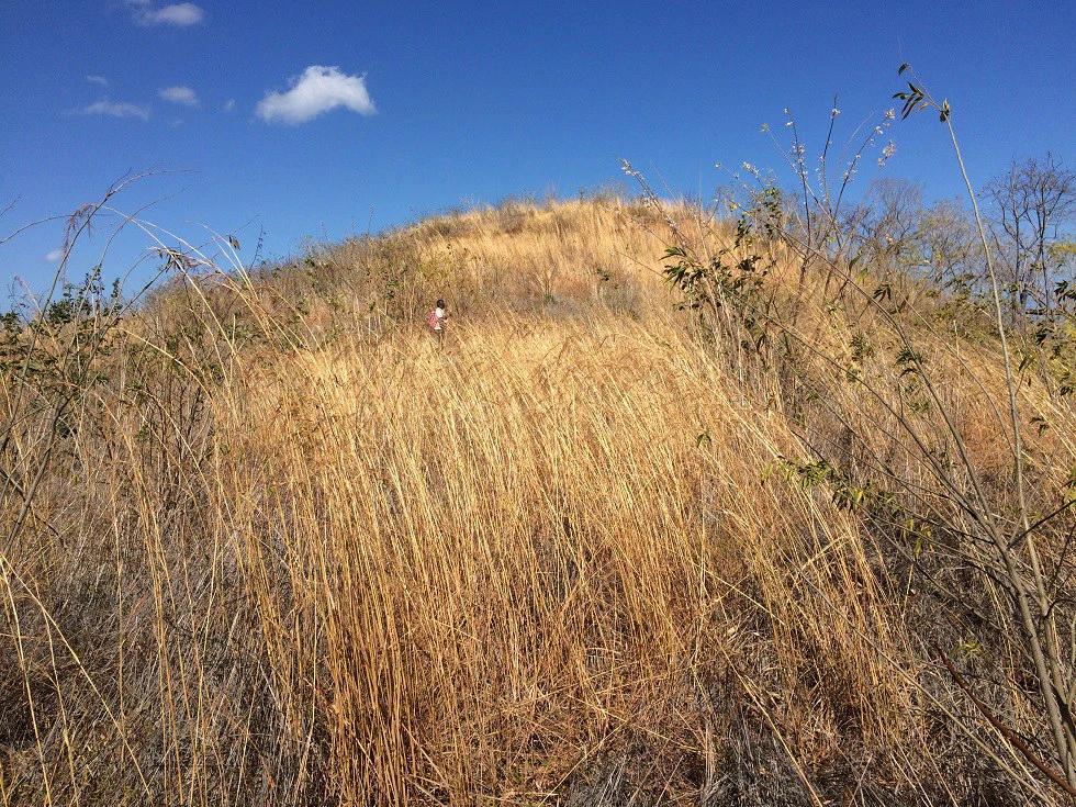 Ocean view property in the area of Guanacaste, great commercial opportunity near the Hotel Riu - Gallery image 12
