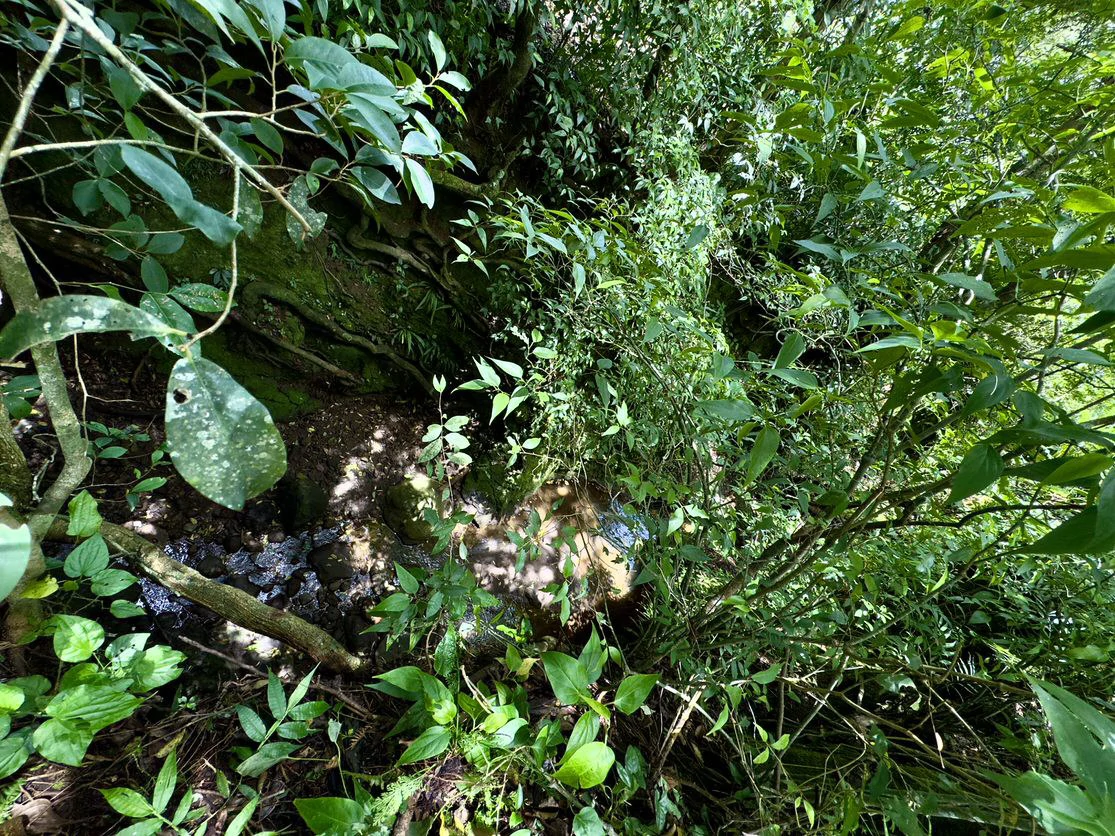 Live in harmony with nature in San Rafael de Heredia - Gallery image 17